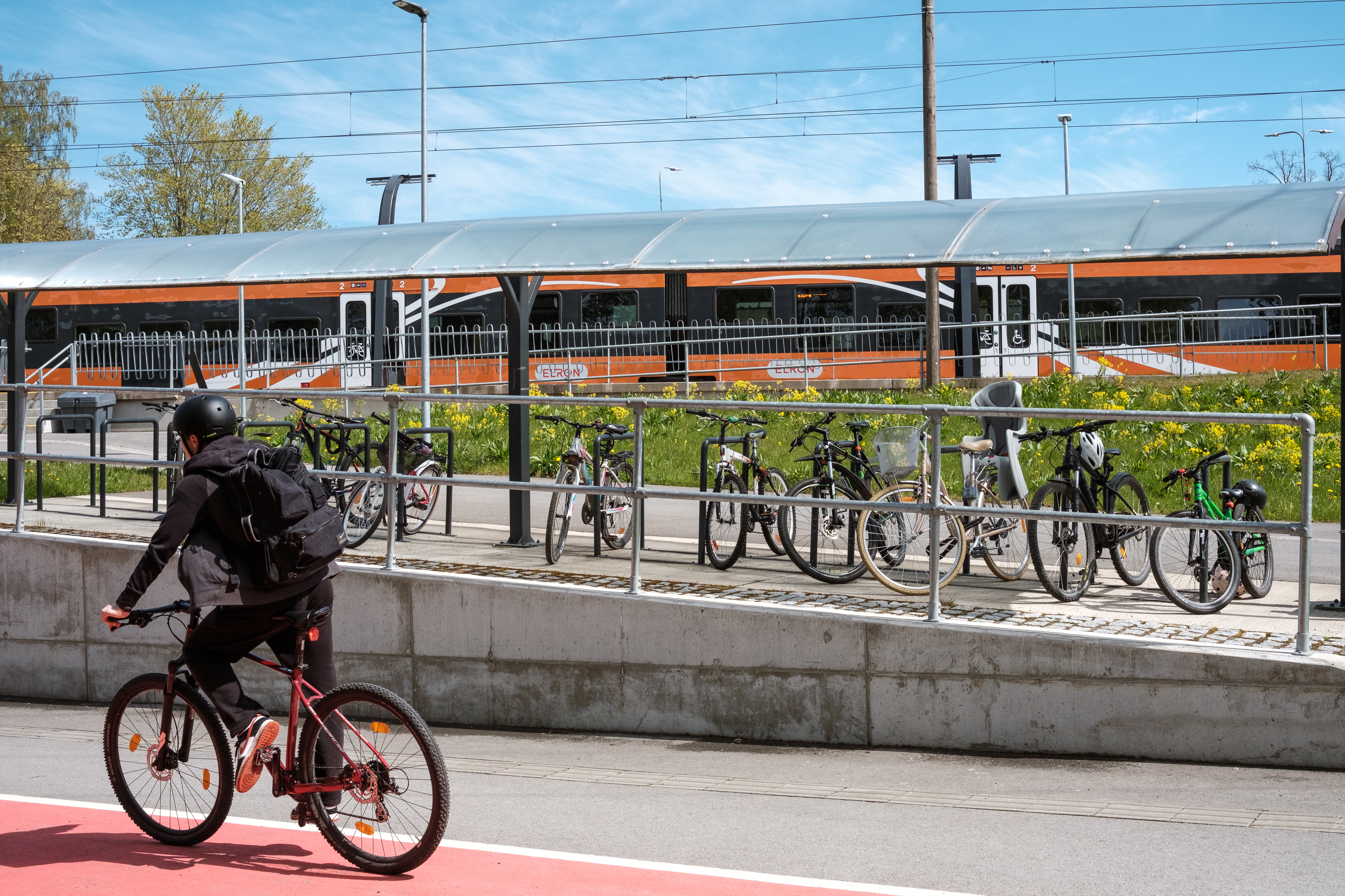 Rattur, rattad ja rong